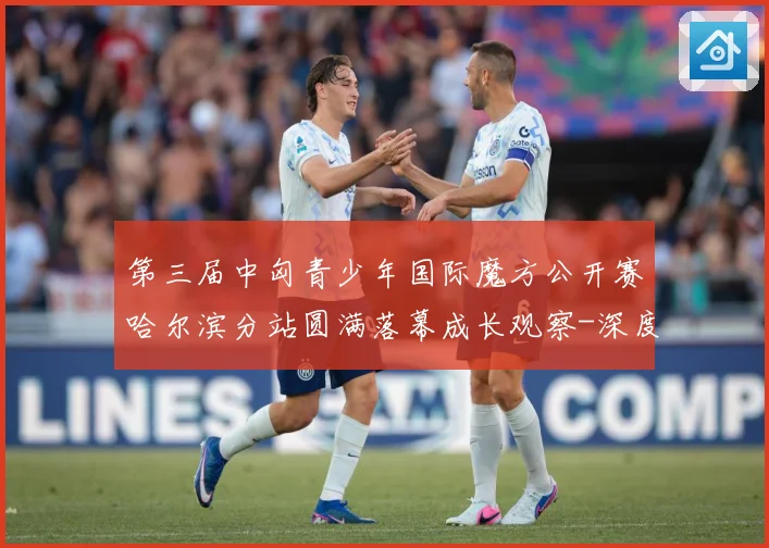 第三届中匈青少年国际魔方公开赛哈尔滨分站圆满落幕成长观察-深度解析