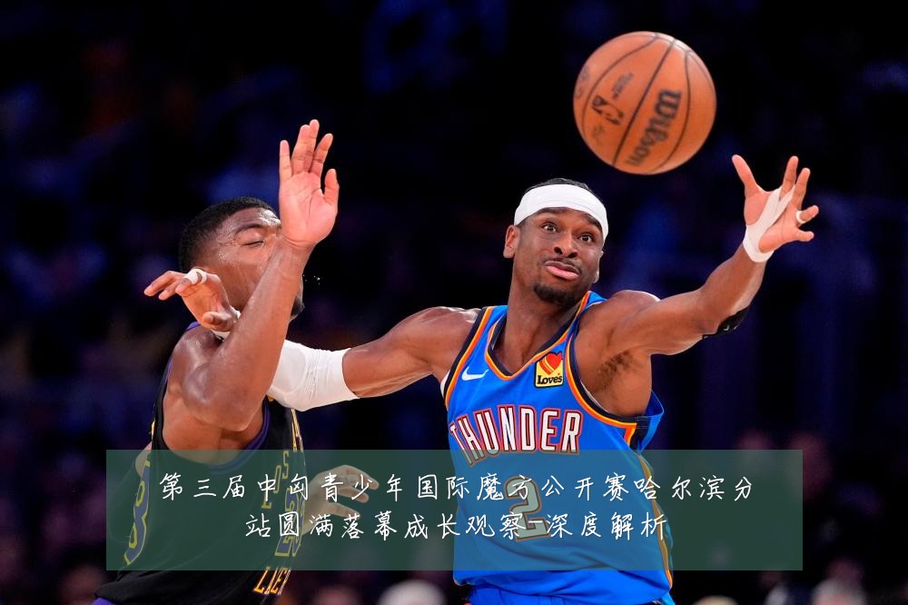 第三届中匈青少年国际魔方公开赛哈尔滨分站圆满落幕成长观察-深度解析